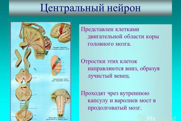 Найти ссылку кракен