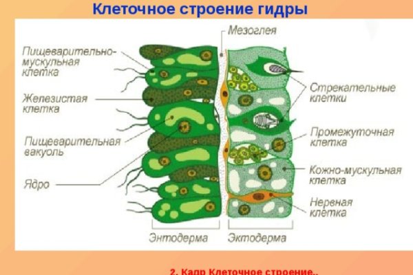 Кракен даркнет купить